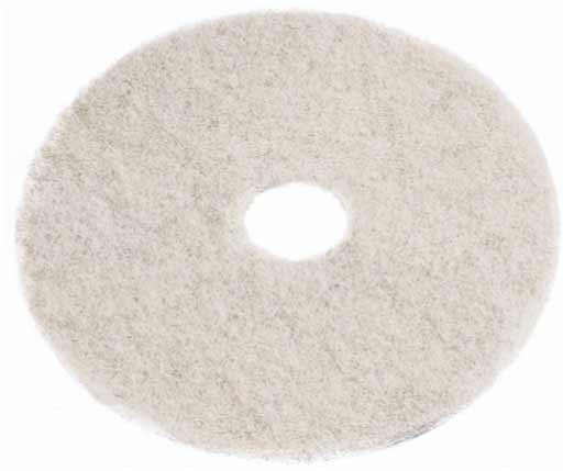 Where to rent FLOOR POLISHER PAD WHITE 20 x1 in Arlington TX